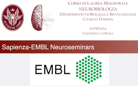 Sapienza-EMBL Neuroseminars Sapienza-EMBL Neuroseminars