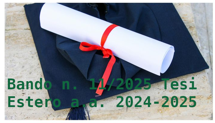Bando Tesi Estero 2025